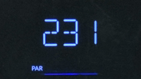 ar-clas-one-24.dis.flashing-231.anni.gif