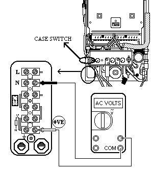 t49.gif