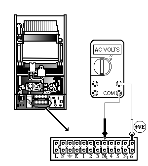 t36b.gif