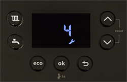 wc-greenstar-life-8700-dis-4-flashing.gif